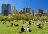 New York City hotels, new york city motels, new york city restaurants, best in each category, nightlife, history, statisitics, facts, maps and more from insiders, for insiders and visitors.