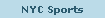 New York City Sports And Sporting Evens